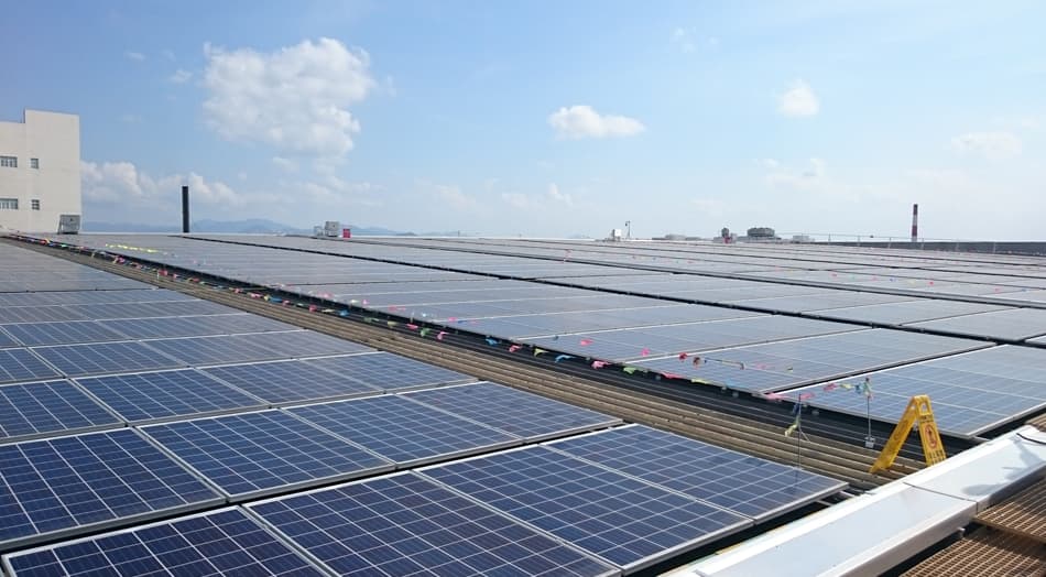 Solar panels at Lee Kum Kee photovoltaic power station.