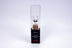 HKIM PowerBrand Award - Centennial Hong Kong PowerBrand 20242025