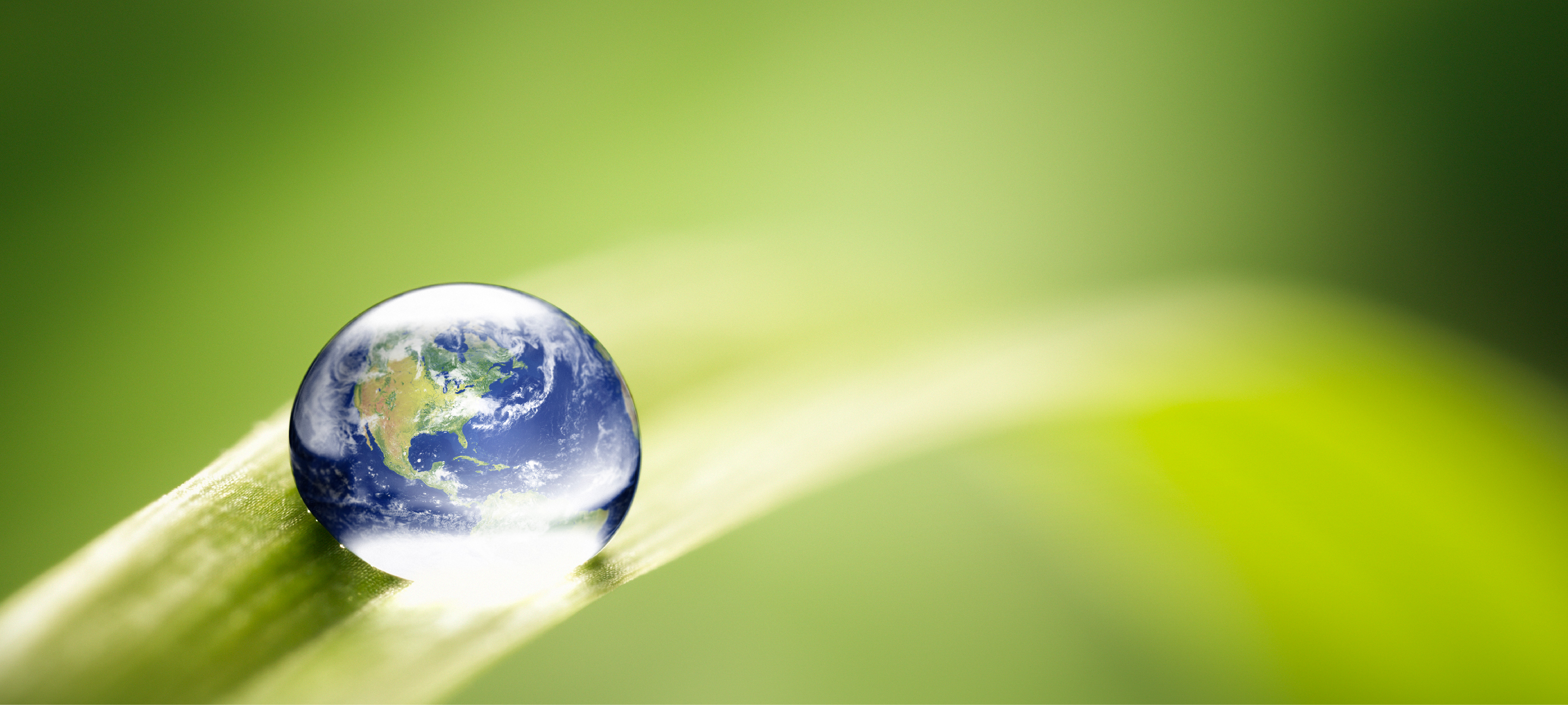 李錦記全球可持續發展報告