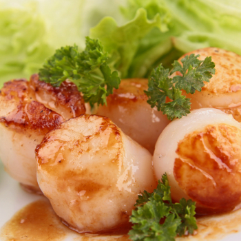 Recipe Seared Scallops with Sauteed Napa Cabbage and Shitake Mushrooms