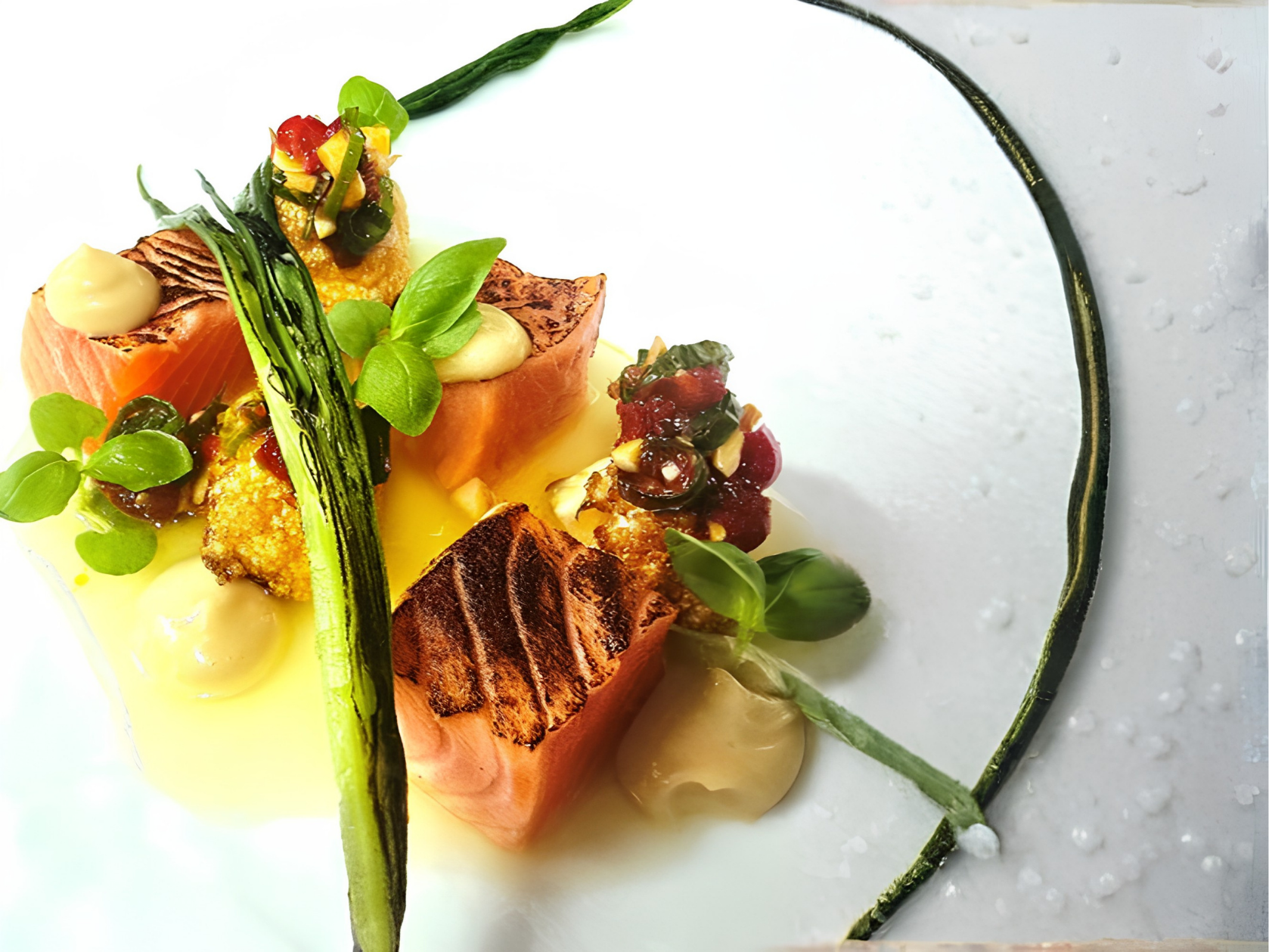 Seared Ocean Trout Cumin  Chilli Cauliflower Oyster Emulsion Kalamansi  Mint Vinaigrette
