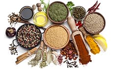 The World of Seasoning