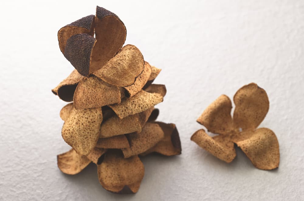 Dried Tangerine Peel