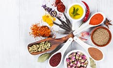 The World of Seasoning condiments