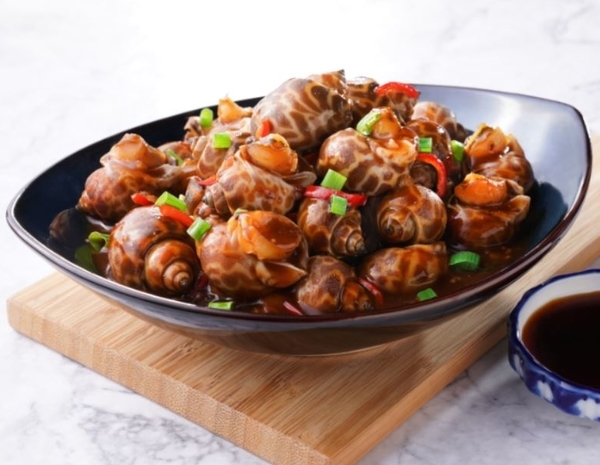 SSSS - Sea Snail_600x465