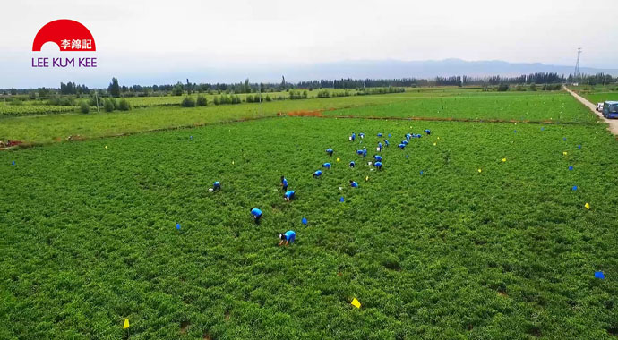 Article_Safeguard the environment, safeguard our future